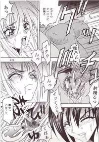 [St. Rio (Kichigai Teiou, Ishikawa Ippei)] SEED 2 (Mobile Suit Gundam SEED)