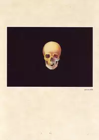 [Suehiro Maruo] MARUOGRAPH EX I