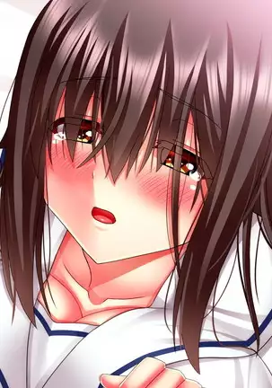 Hikaeme Jimime na Imouto to Nettori Gattsuri Love Love Ecchi