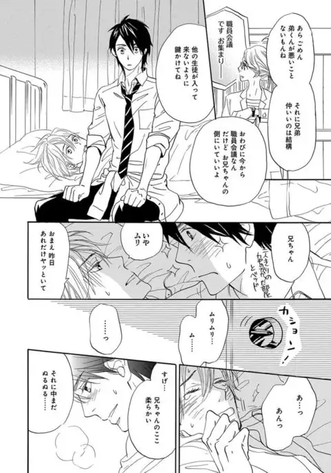 Ore wa Kawaii Ototo to