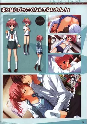 YUZUSOFT 10th Anniversary Book YUZUANI