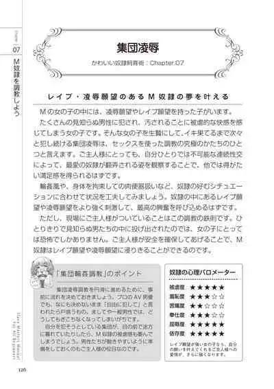 Zero kara Hajimeru SM Manual Kawaii Dorei Shiikujutsu