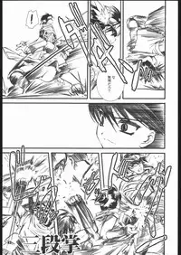 (CR35) [Hi-PER PINCH (clover)] Fantasista (Ragnarok Online)