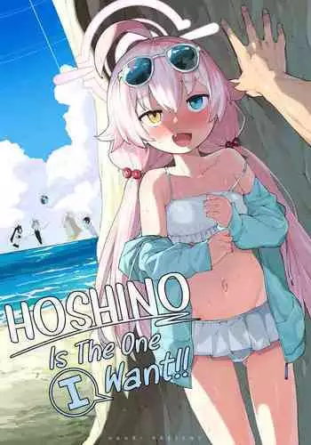 [Henry Plaza (Henrybird)] Hoshino ga (Watashi wa) Iin da yo!! | HOSHINO Is The One I Want!! (Blue Archive) [English] [Sloppy Seconds] [Digital]