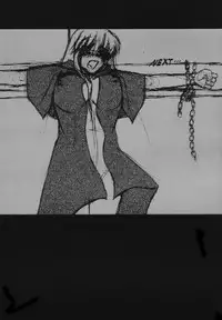 [Shuudan Bouryoku (集団暴力)] HOOLIGANISM File/10 RECORD OF ALDELAYD ExhibitionDX2