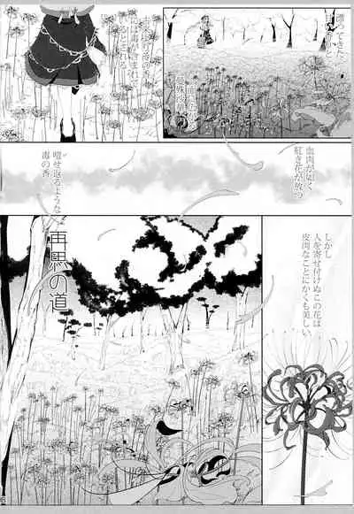 (C93) [Flying Bear (Hiyou)] Miyako Hyakkei Chukan (Touhou Project)