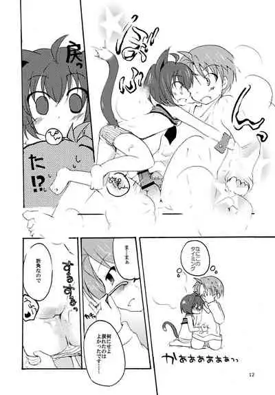 Kyou Hananee, Chanto Shiyouyo