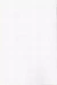 (C81) [cocon! (Otone)] Izumi Nee-san o Osewa suru Hon (WORKING!)