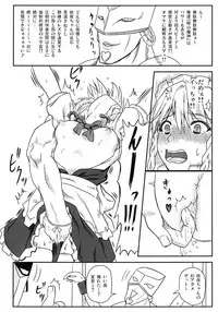 [Sumeragi Designs (Sumeragi Seisuke)] D4C (Touhou Project) [Digital]