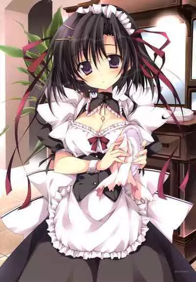 Shining Showtime Nanaroba Hana Art WORKS