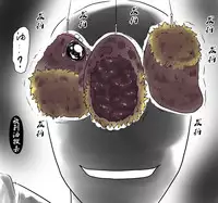 ラジコン（Chinese)