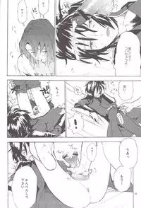 [NEO-de (Natsuzaka)] Tadashii Hito (Gundam Seed Destiny)