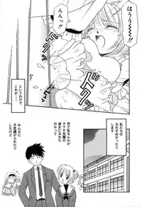 [Donkey] Chocotto Ne