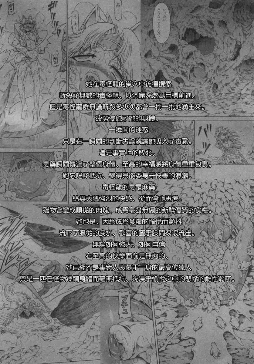 Solo Hunter no Seitai 4 The third part