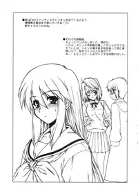 [Dennou Denpa Hatsureisho] Tiger Tron - Drunkar of Tiger (Fate/Stay Night)