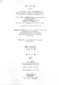 (COMIC1☆6) [Kamogawaya (Kamogawa Tanuki)] EXV (Mahou Shoujo Lyrical Nanoha)