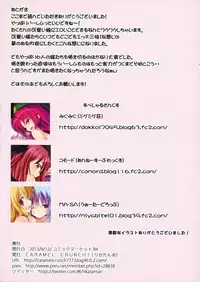 (C84) [CARAMEL CRUNCH! (Various)] Harem Gensoukyou 2 ~Watashitachi no Dannasama~ (Touhou Project)