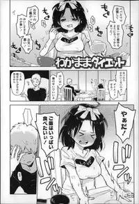 [Seihoukei] Chippai ha Seikou no moto