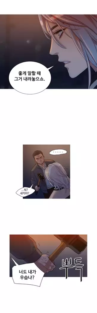 Scandal of the Witch Ch.0-35