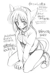 (MOON PHASE) [VISTA (Odawara Hakone)] Setsugekka (Tsukihime)