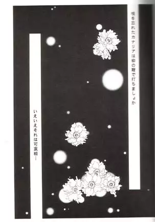 Kanaria wa Tsuki to Utau II