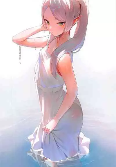 My wife, Frieren and Fern