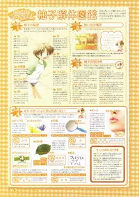 Canvas Visual Fan Book