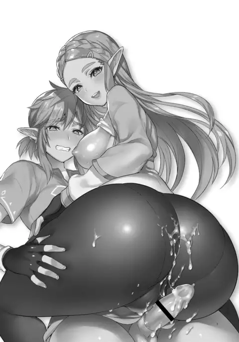 Hyrule Hanei no Tame no Katsudou!