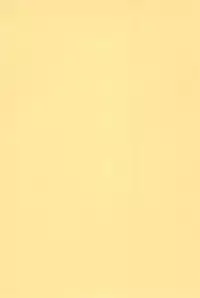 (CR28) [Bubble Company (Tenteko)] Kodomo Oukoku 8