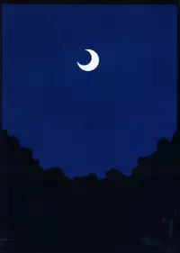 (Reitaisai 12) [Ninniku Batake (Ninniku)] Watashi no Kimochi mo Kangaete!! (Touhou Project)