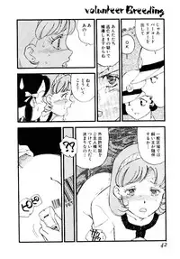 [Kaimeiji Yu] Volunteer Breeding