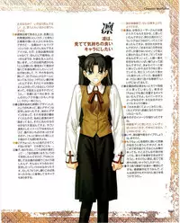 Fate/stay night Premium FanBook