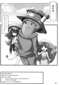 (C91) [Wappoi (Wapokichi)] Kinoko no Yomeiri (Granblue Fantasy)