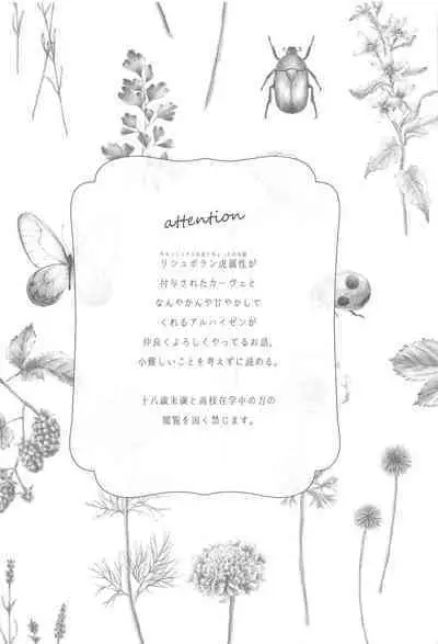 Doku o Kurawaba Sara made.