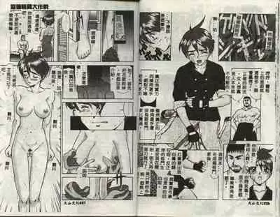 Operation Daisakusen