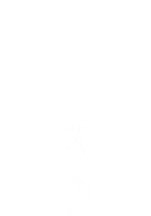 Yuuka-Chirabatta Daiyoukai no Kakera-