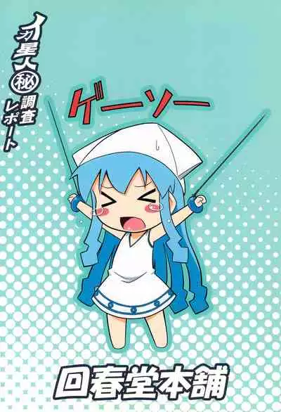 Ikaseijin Hi Chousa Report