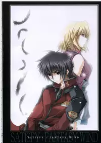 (C68) [FANTASY WIND (Shinano Yura)] satisfy (Gundam SEED DESTINY) [Chinese]