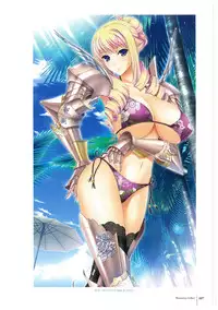 Walkure Romanze More & More Visual Fan Book