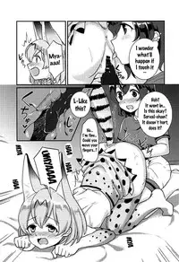 (C92) [Tendoushi (Fukuroumori)] Daisuki ni Kimatteru!! (Kemono Friends) [English] {doujins.com}