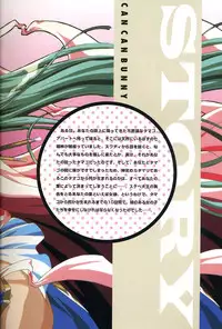 [Visual Fanbook][F&C] きゃんきゃんバニー プルミエール２攻略&設定資料集