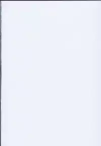 (C93) [Armament Calcium (Take Calcium)] Majo Kyousei Chijo (Touhou Project) [Chinese] [好想玩梗汉化组]