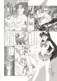 [Himitsu Kessha Tsuki to Yousei] Re-Flesh! (Sailor Moon)