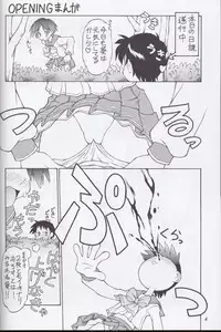 (C62) [Dedepoppo (Ebifly, Neriwasabi)] Mikiri Hassha (ToHeart)