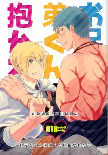 (Senka no Toki 9-Nen Osame) [Fuyu wa Samui (Dantou)] Onii-chan wa Otouto-kun ni Dakaretai (Touken Ranbu)