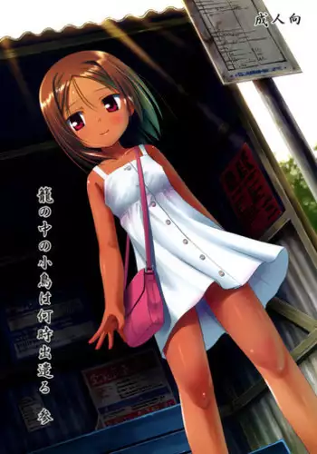 (SC52) [Noraneko-no-Tama (Yukino Minato)] Kago no Naka no Kotori wa Itsu Deyaru 3 | When Will The Caged Bird Be Released 3 [English] =LWB=