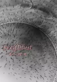 [Kouka Ryouhei (Yanagi Kyouhei)] PrelfIllust No.4.5 NovelizeComic