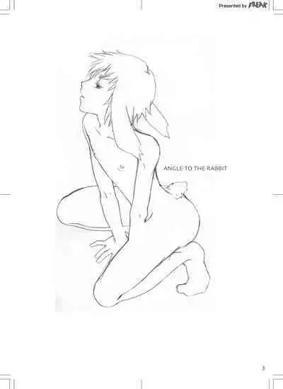 ANGLE TO THE RABBIT