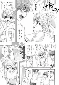 COMIC 0EX Vol. 12 2008-12