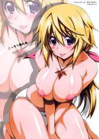 (C85) [KossoriKakureDokoro (Island)] Charlotte H! (IS <Infinite Stratos>) [English] {RapidSwitch}